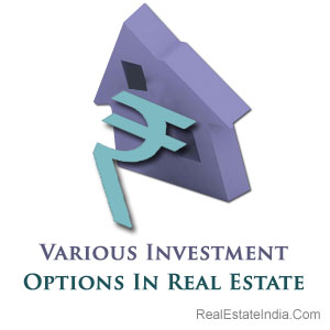 Real Estate Investors on Various Investment Options In Real Estate   Real Estate India